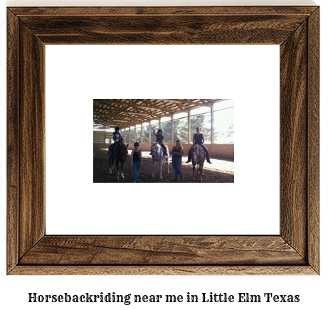 horseback riding near me in Little Elm, Texas